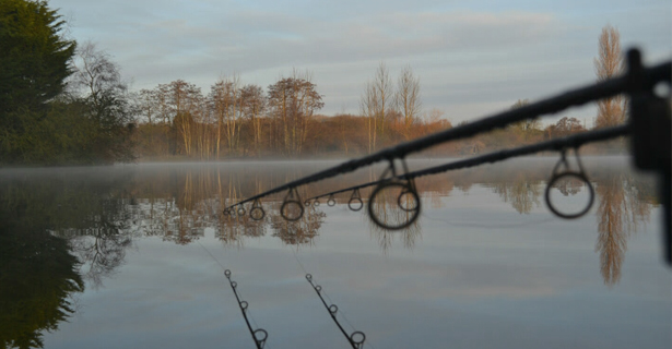 New Year Carpin' Social - Ryan Hawes