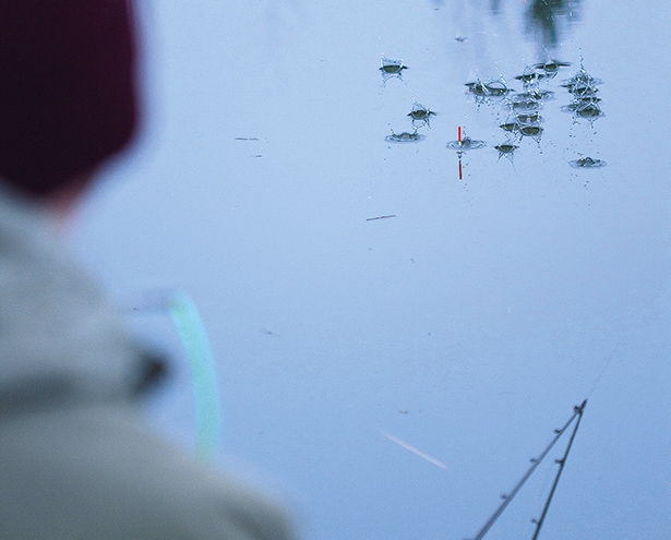 Perch-Fishing-Gareth-Goldson-7