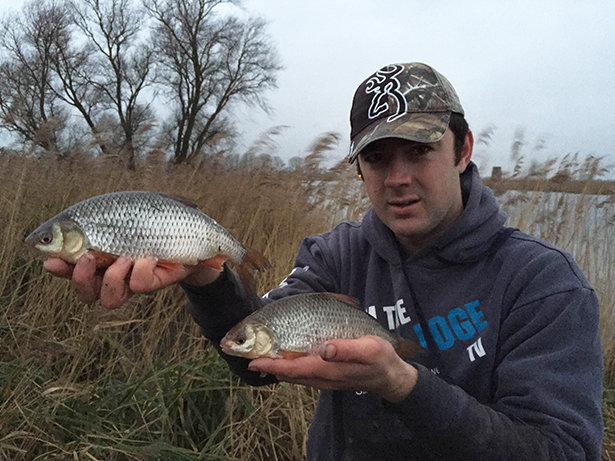 Roach Fishing River Yare-3