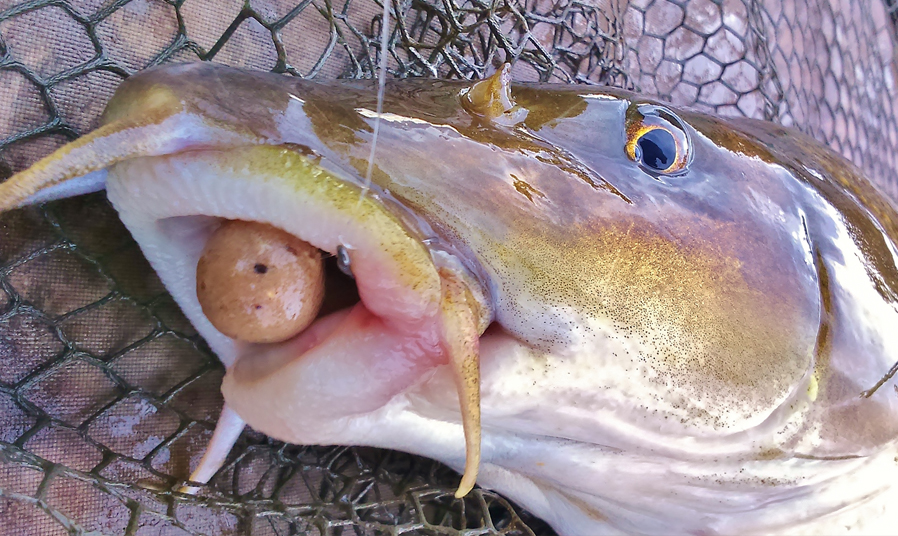 Richard-Howland-River-Wye-15