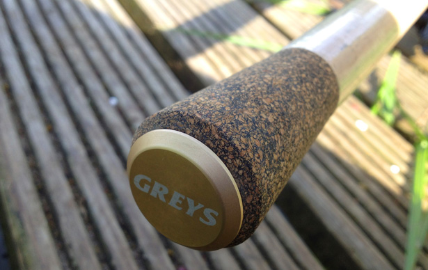 Greys-Prodigy-TX-Specimen-2