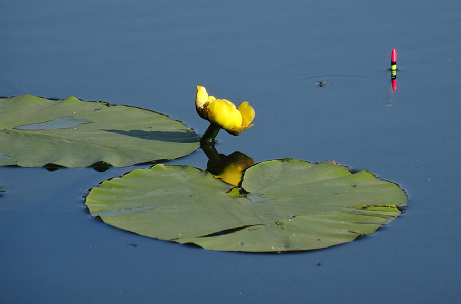 john-spilsbury-scenic-shot