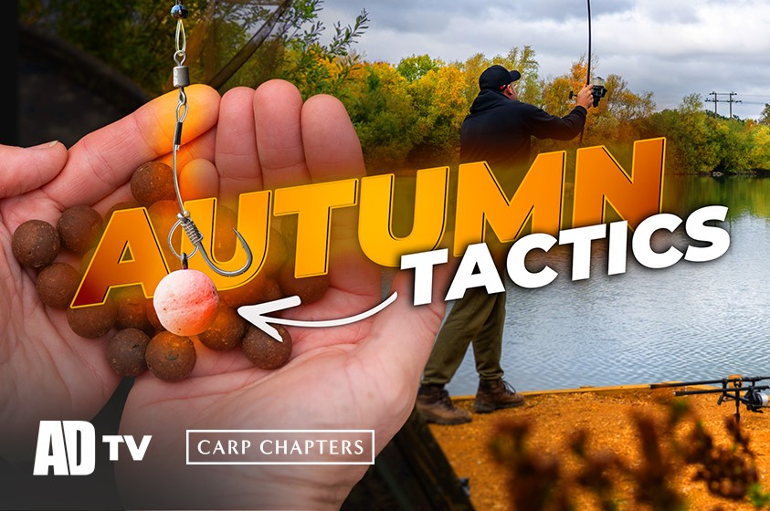 ADTV Carp Chapters -  BIG Autumn Carp Fishing Approach - Cawcutts Lake
