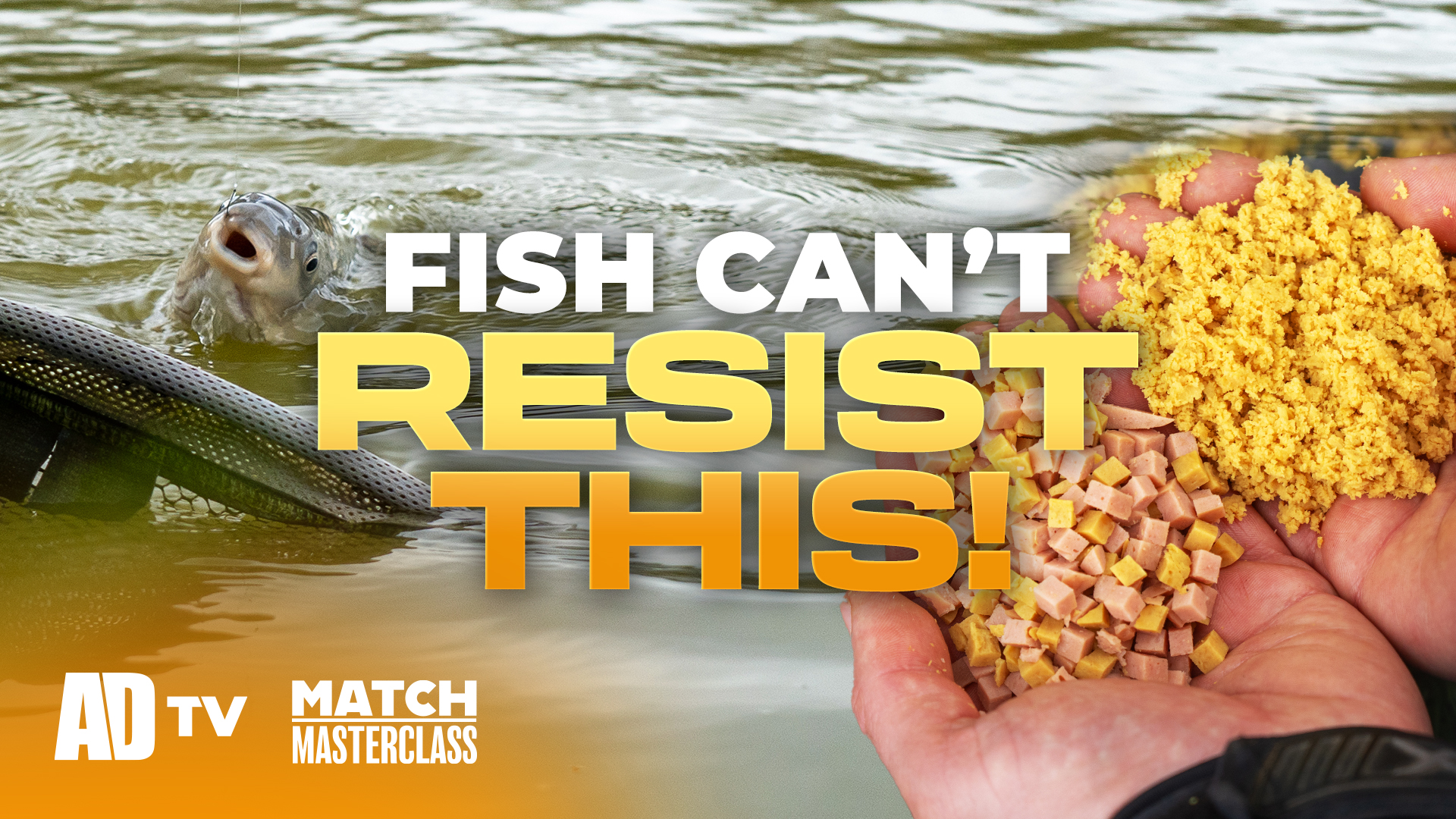 ADTV Match Masterclass - Spring Meat Fishing Secrets - Fish Go CRAZY for This High Protein Bait 
