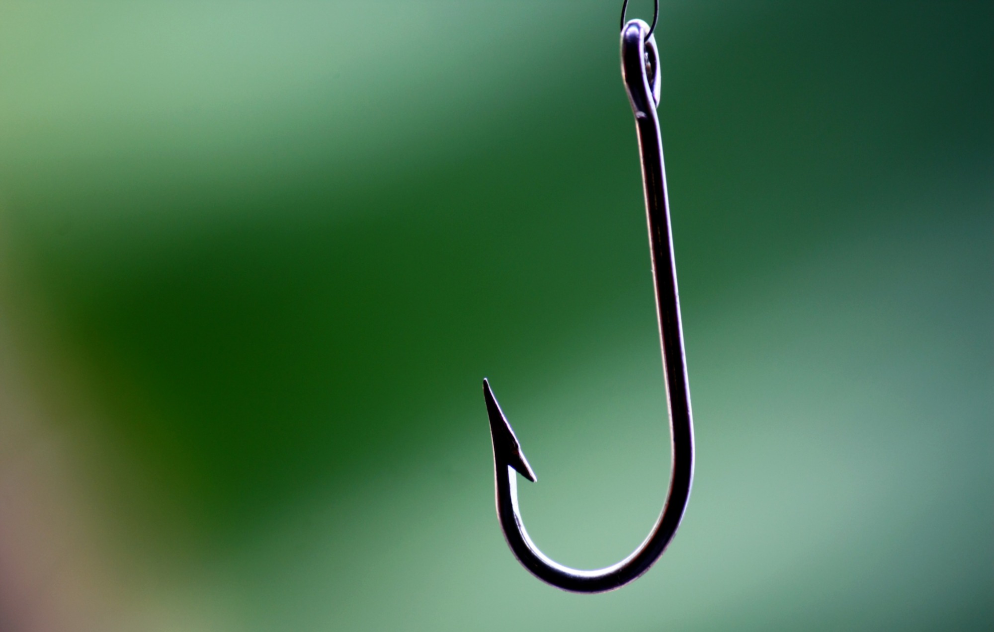 Barbed vs Barbless Hooks Barbed Better for Fish Care?!