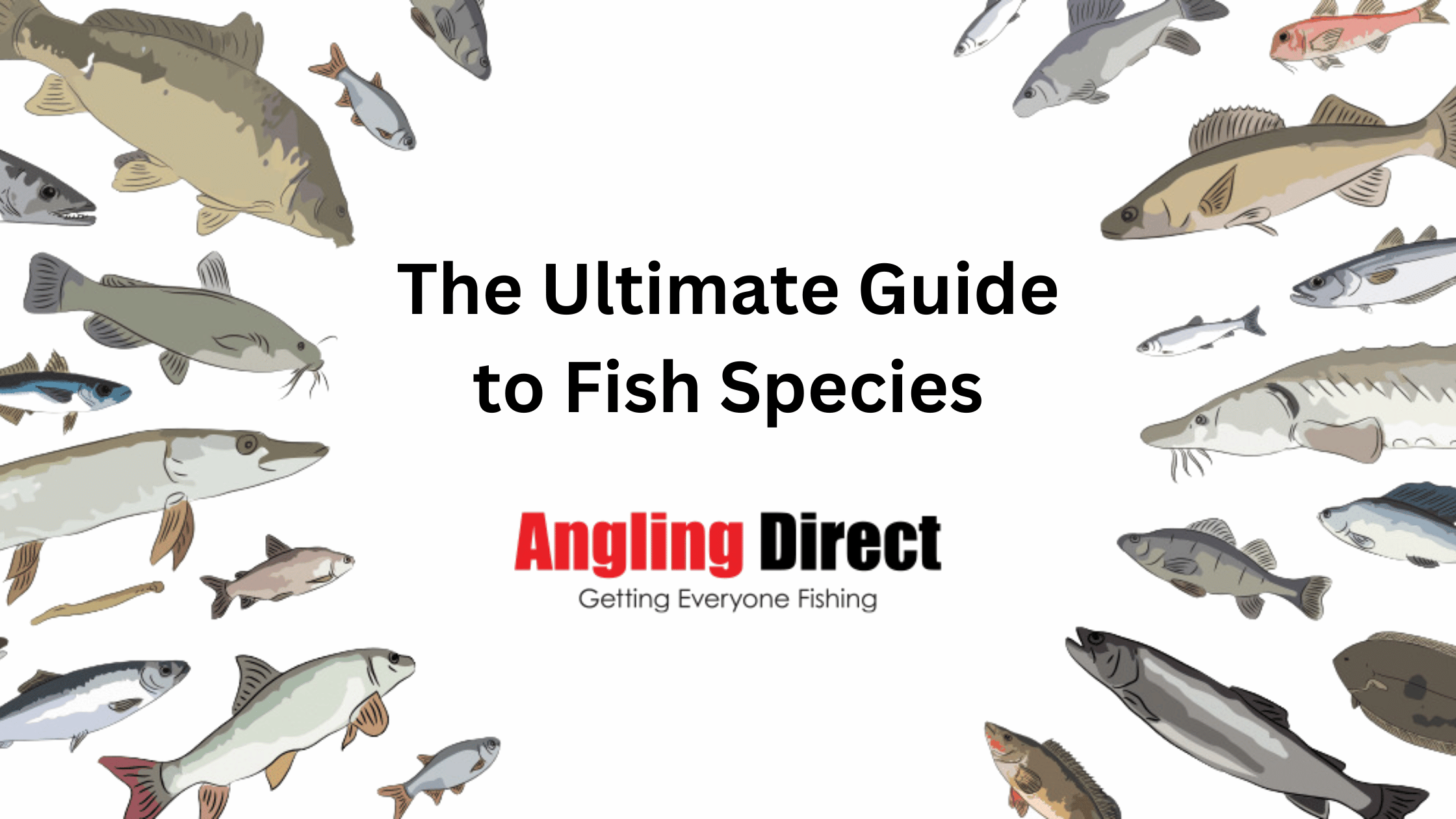 Fish Species & Types of Fish: Ultimate Guide for Anglers