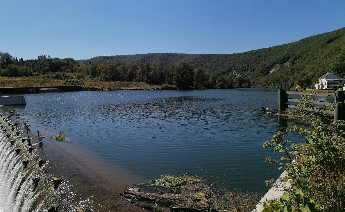 Summertime Angling – With Ade Kiddell