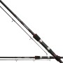 Daiwa Laguna Spinning Rod