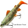 Daiwa Prorex Live Trout Swimbait DF Lure Live Brown Trout