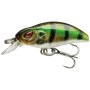 Daiwa Prorex Micro Minnow Lure 3cm Live Perch