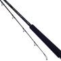 Daiwa Saltiga Boat Rod
