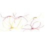 Fulling Mill Worms Selection Pack