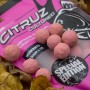 Nash Citruz Cultured Hookbaits Close Up 3
