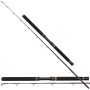 Penn Regiment II XT Rod