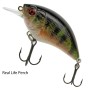 Sakura SCB Crank 100 F Lure Real Life Perch