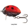 Salmo Lil'Bug 2cm Floating Lure Lady Bird