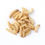 Willy Worms Wax Worms 15g