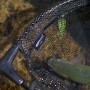 Advanta GS Trout Net In Use 5