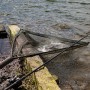 Advanta Protector Landing Net 42'' In Use 3