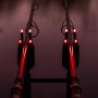 Avid Carp VTX+ Illuminated Snag Ears
