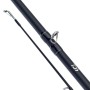 Daiwa D-Baitcast Rod & Reel Combo 2