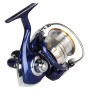 Daiwa Team Daiwa TDR Reel Rear Angled