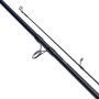 Daiwa Theory Speci Barbel & Tench Rod 3