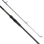 Discover&#x20;Carp&#x20;Rod