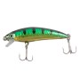 Discover Predator Lure Box - Small Perch Hard Body Lure 10