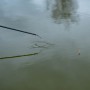 Advanta Power Margin 8.5m Fishing Pole Close Up In Use 4