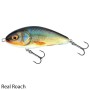 Fatso 10cm Sinking Lure Real Roach
