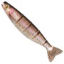 Fox Rage Pro Jointed Shad Lures 14cm Rainbow Trout