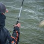 Guru A-Class Distance Method Feeder Fishing Rod In Use 3