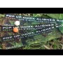 Ready Tied Pop Up Hook Aligner Rigs