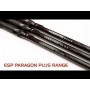 ESP Paragon Plus Rod