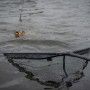 JRC Defender Landing Net In Use  3