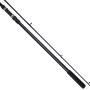 Lineaeffe Free Carp Rod 1