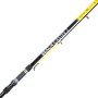 Lineaeffe Beach Caster 2 Rod 1