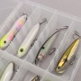 Discover Saltwater Predators Lure Box - Hard Body -8 Pieces 2