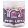 Mainline Special Edition Pop Ups F-ONE