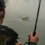 Matrix Aquos Ultra-C Waggler Rod
