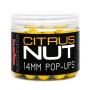 Munch Baits Citrus Nut Fishing Pop Ups