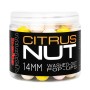 Munch Baits Citrus Nut Washed Out Fishing Pop Ups