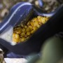 Munch Baits Sweet Maize Fishing Particles 2L Close Up 2