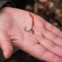 OMC Dazzlers Long Leg Aligner Red Bloodworm 7
