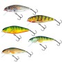 Perch 8cm Floating Lure Group Image