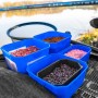 Preston Fishing Bait Tubs In Use 1