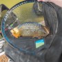 Preston Quick Dry Fishing Landing Net In Use 1
