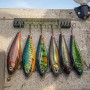 Rapala X-Rap Haku Lures 14cm Lifestyle 1