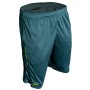RidgeMonkey APEarel CoolTech Green Fishing Shorts